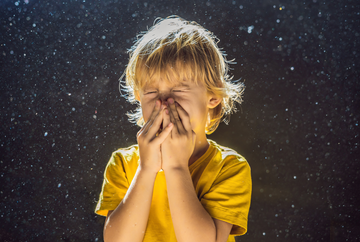 What is a Dust Mite Allergy?